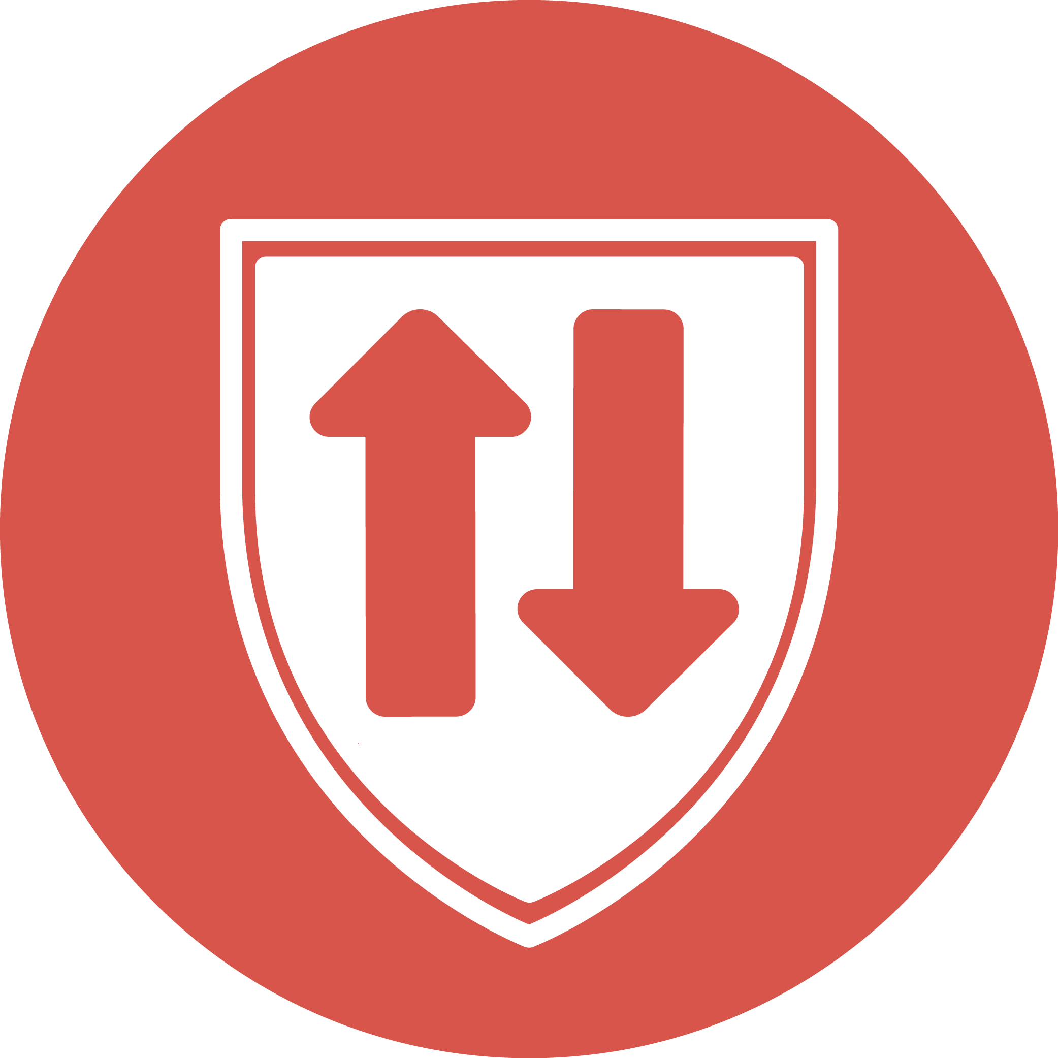 ADIPSYS' solution: DNS protect logo